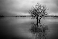 Morning Mist over Lake Jindabyne - Judith Bennett