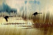 Morning flight J Glover - ... ...