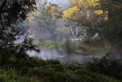 Morning in Gloucester - Margaret Frankish