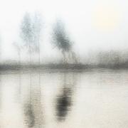 Mornng-Fog - ... ...