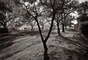 Morphet-gigapixel-hq-scale-2 00x - ... ...