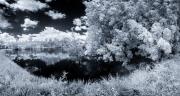 Mount Annan Infra-Red 1 - Steve Mullarkey