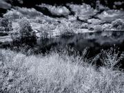 Mount Annan Infra-Red 2 - Steve Mullarkey