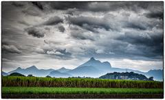 Mount Warning - Steve Mullarkey