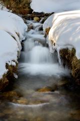Mountain Creek  - Maria Mazo