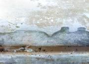 Mountains-of-Morn-#1 - ... ...