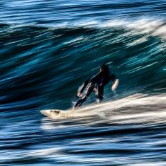 Moving as one with the Wave - Fran Brew