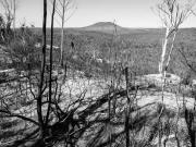 Mt. Banks and valley  200905 52926 - Donald Gould