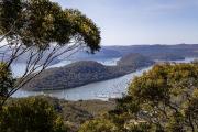 Muogamarra-View - Nigel Streatfield