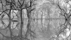 Ivor Barnard