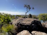 Muogamarra lookout - Heather Miles