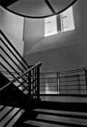 Museum of Contemporary Art - ... ...