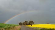 Nature - Pot of gold at the end of the rainbow - Robyn Miller