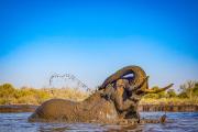 Nature LHall Nature-3 - ... ...