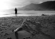 NewCal2006 017a 1 - ... ...