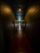 No Escape - Leigh Hall