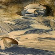 Noosa-Sands - ... ...