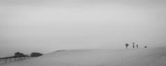 North Curl Curl Sand Dunes - Margaret Frankish