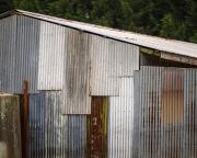 Oberon Architecture - Janice Gursanscky