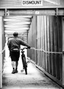 Obeying the Rules - Margaret Frankish