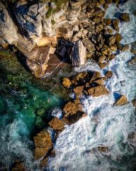 Ocean Pool Swimmers - Gail MacDiarmid