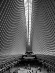 Oculus - New York - David Ross