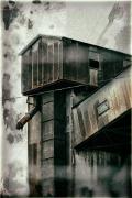 Old-Balmain - ... ...