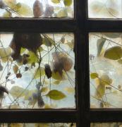 Old Brewery Window - Dawn Zandstra