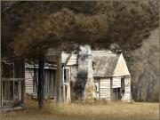 Old cottage - Dawn Zandstra