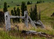 something old - Alan Sutton