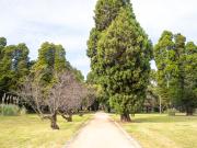 Old graveyard - Heather Miles