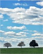 On the Road  - Peter Steele