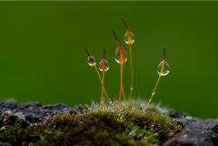 On a rainy day - Maria Mazo