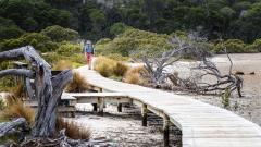 On the Boardwalk - Nigel Streatfield