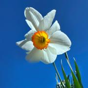 On the Road to Dubbo - Margaret Frankish