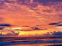 On the beach - Maree Davidson