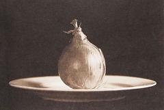Onion - Lyn Arnold