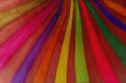 Onion skin merit-gigapixel-hq-scale-2 00x - ... ...