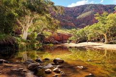Ormiston Creek Walk - Judith Bennett