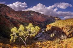 Ormiston Gorge - Judith Bennett