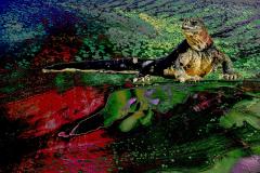 Out of the swamp - Strat Mairs