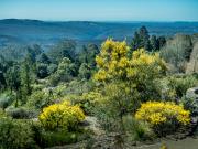 View from visitor center - Hemant Kogekar