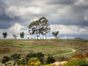 Bike riders at Mt Annan - Hemant Kogekar