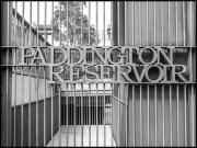 Paddington Gate - Ray Seaver