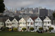 Painted Ladies - ... ...