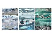 Panel 2 - Dawn Zandstra