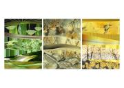 Panel 3 - Dawn Zandstra