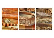 Panel 4 - Dawn Zandstra