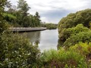 Parramatta River-230412-75256 - Donald Gould