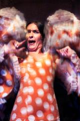Passionate Flamenco - Fran Brew